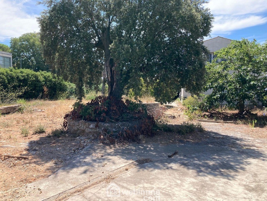 Vente Maison à Vendargues 1 pièce