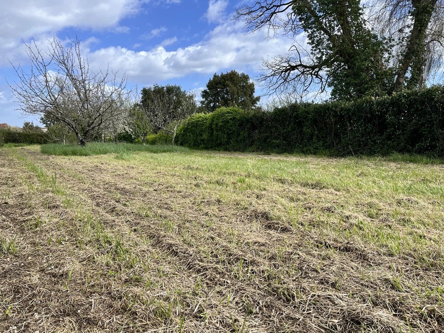 Vente Terrain à Saint-Augustin 0 pièce