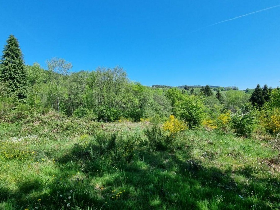 Vente Terrain à Saint-Rémy-sur-Durolle 0 pièce