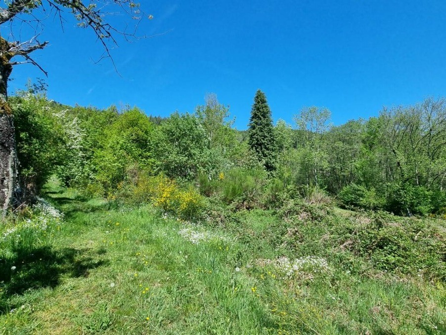 Vente Terrain à Saint-Rémy-sur-Durolle 0 pièce