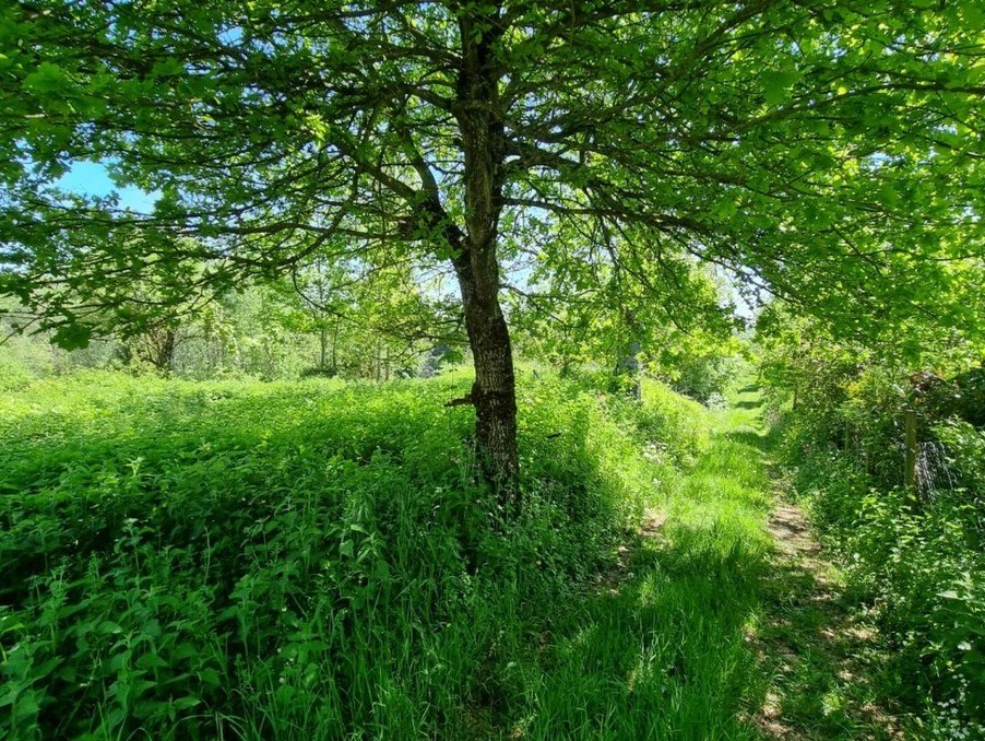 Vente Terrain à Saint-Rémy-sur-Durolle 0 pièce