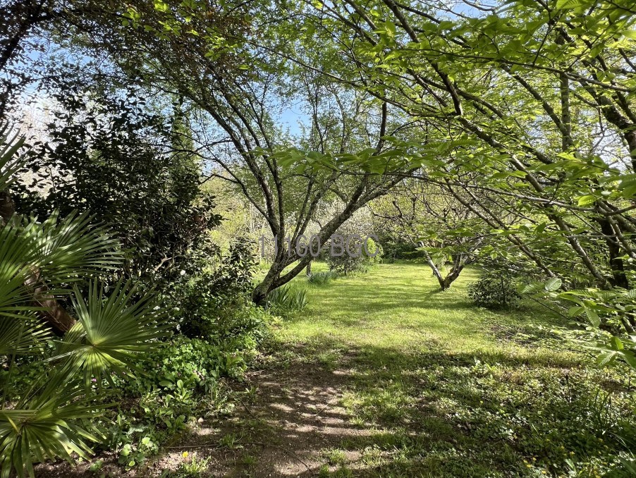 Vente Maison à Bergerac 7 pièces