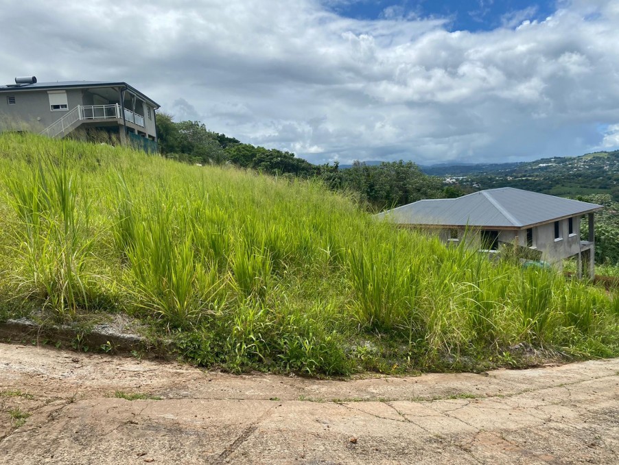 Vente Terrain à le Lamentin 0 pièce