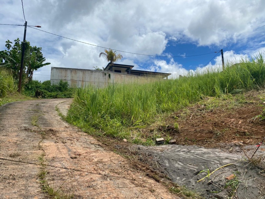 Vente Terrain à le Lamentin 0 pièce