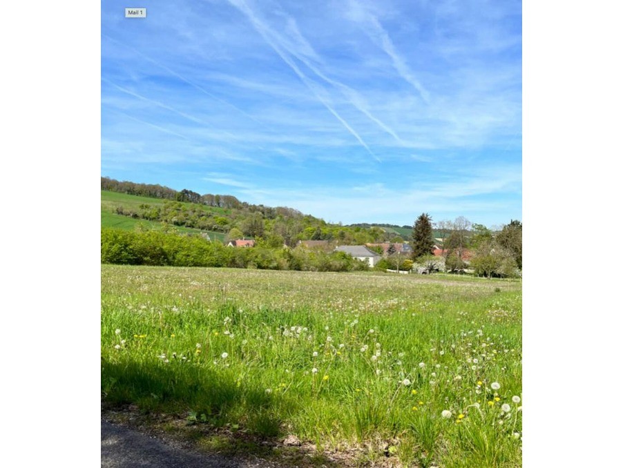 Vente Terrain à Souligny 0 pièce