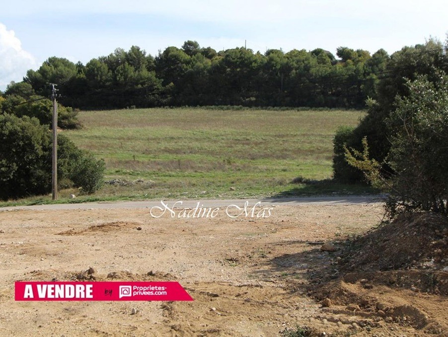 Vente Terrain à Plan-d'Aups-Sainte-Baume 0 pièce