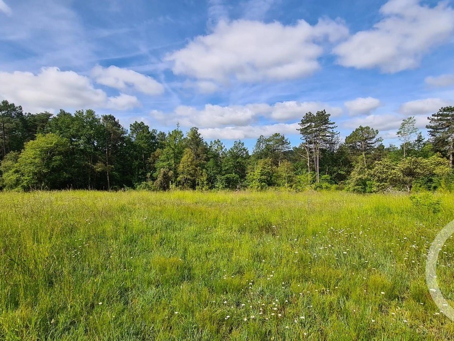 Vente Terrain à Sarlat-la-Canéda 0 pièce