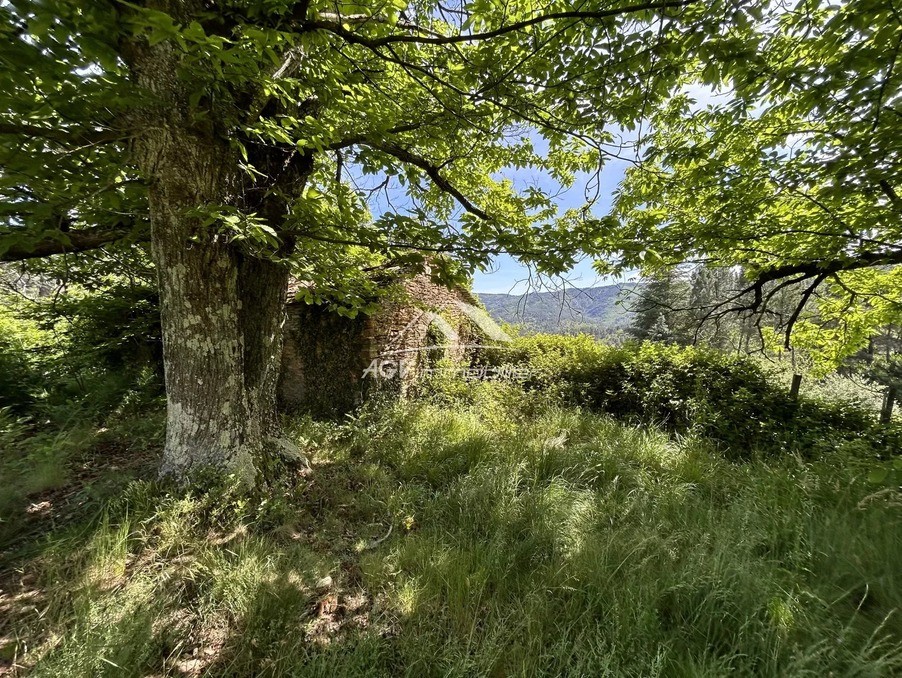 Vente Terrain à le Collet-de-Dèze 0 pièce