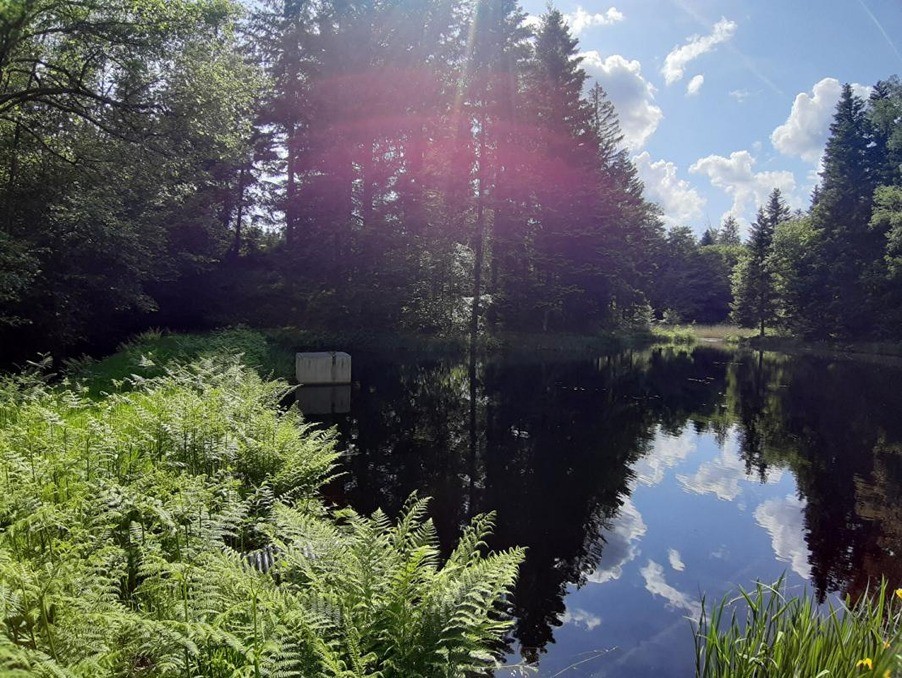 Vente Terrain à Faucogney-et-la-Mer 0 pièce