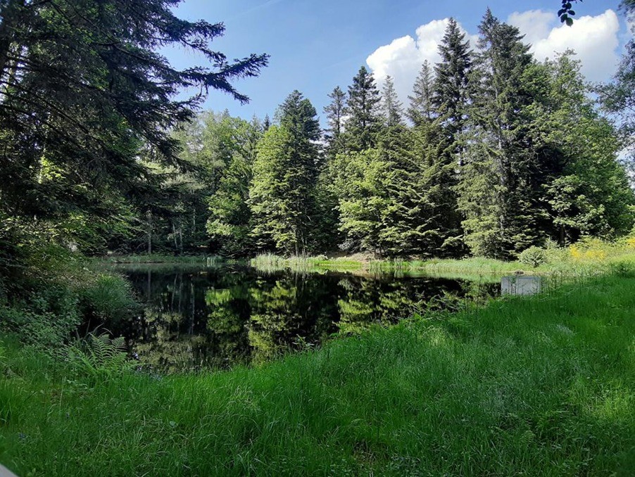 Vente Terrain à Faucogney-et-la-Mer 0 pièce