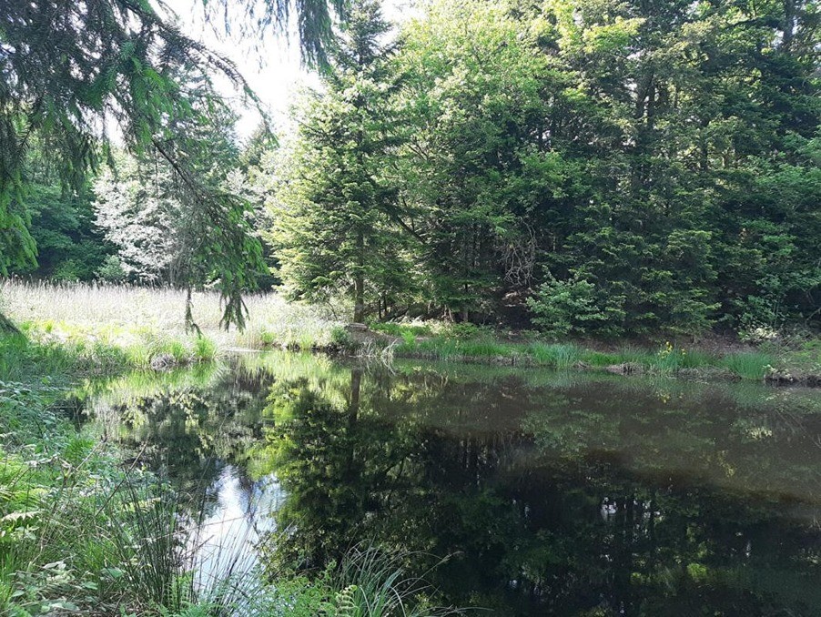 Vente Terrain à Faucogney-et-la-Mer 0 pièce