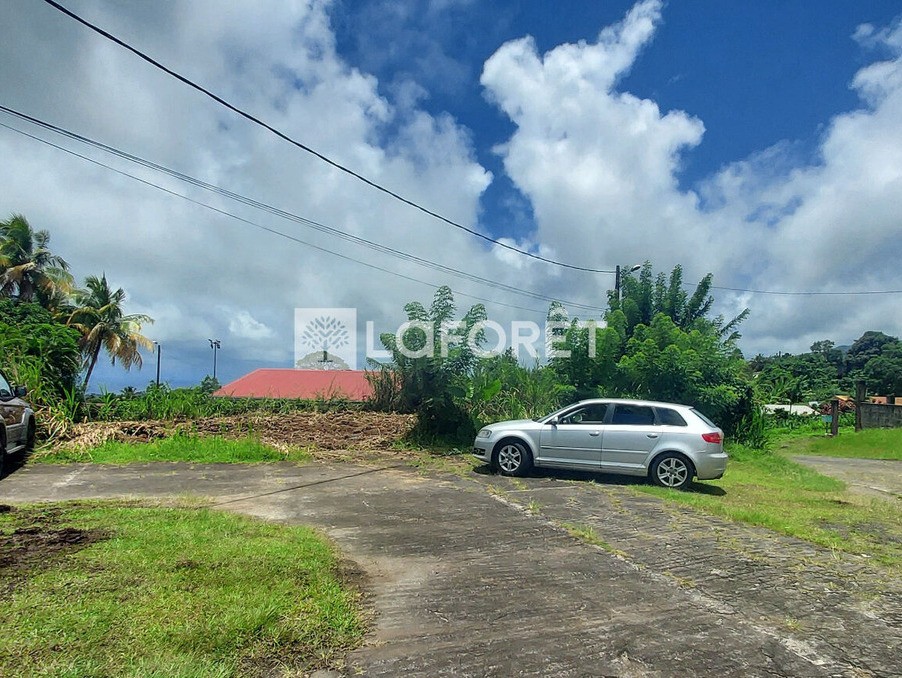 Vente Terrain à Basse-Pointe 0 pièce