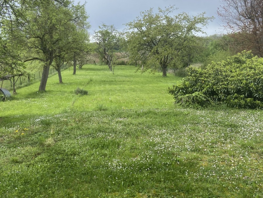 Vente Maison à Bruebach 4 pièces