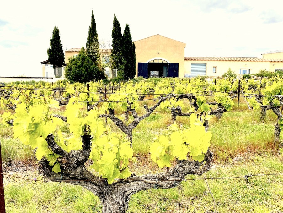 Vente Maison à Uzès 6 pièces