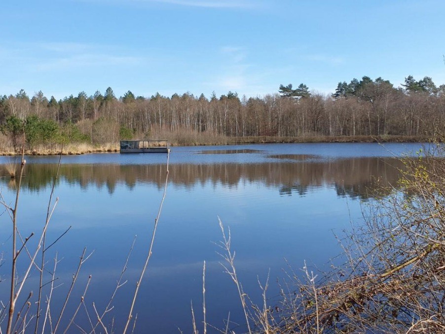 Vente Maison à Neuvy-sur-Barangeon 11 pièces