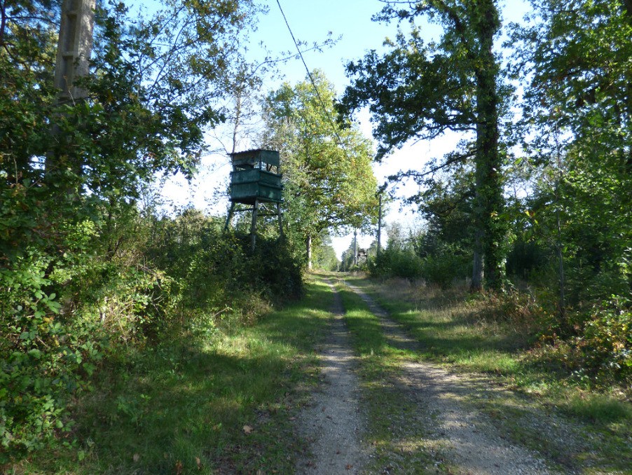 Vente Maison à Lamotte-Beuvron 8 pièces