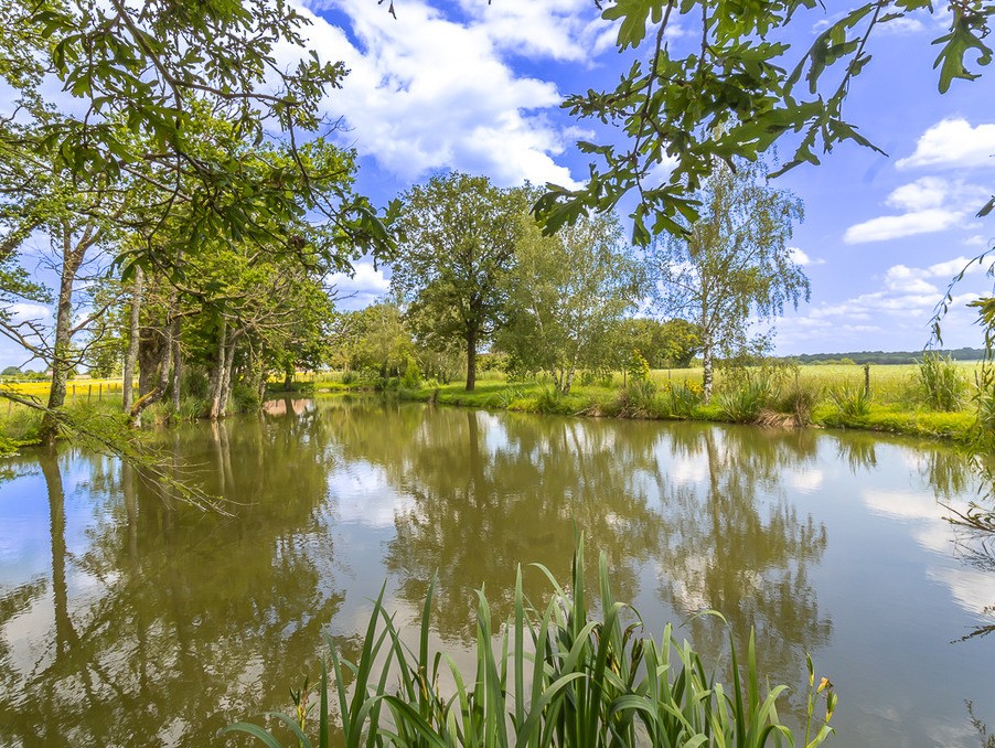 Vente Maison à Écueillé 12 pièces