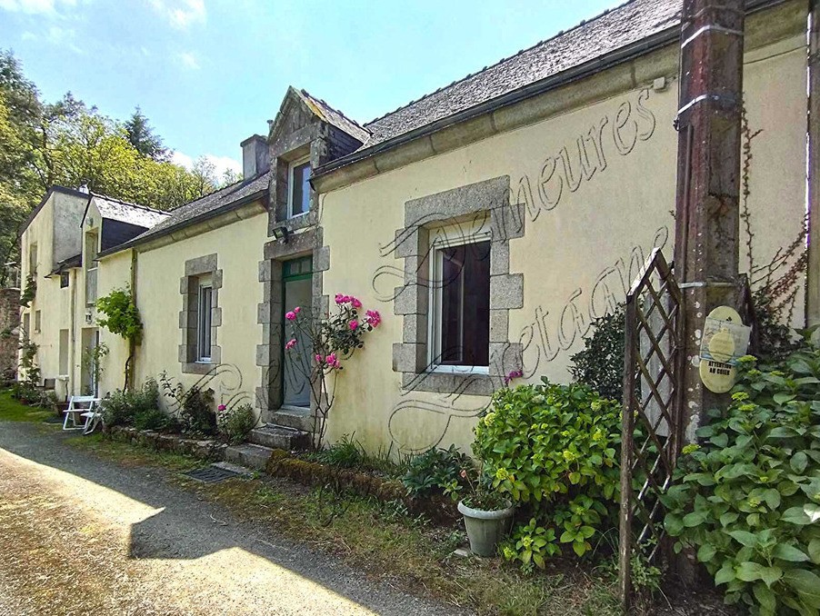 Vente Maison à Pluvigner 21 pièces