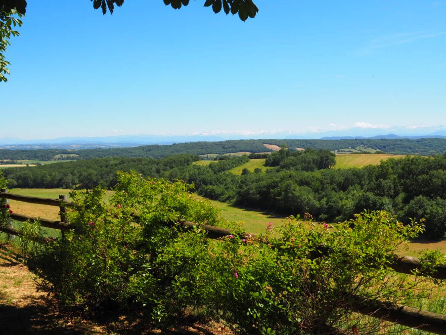 Vente Maison à Saint-Élix-le-Château 11 pièces