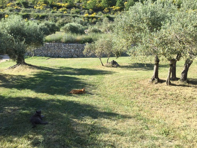 Vente Maison à Manosque 10 pièces