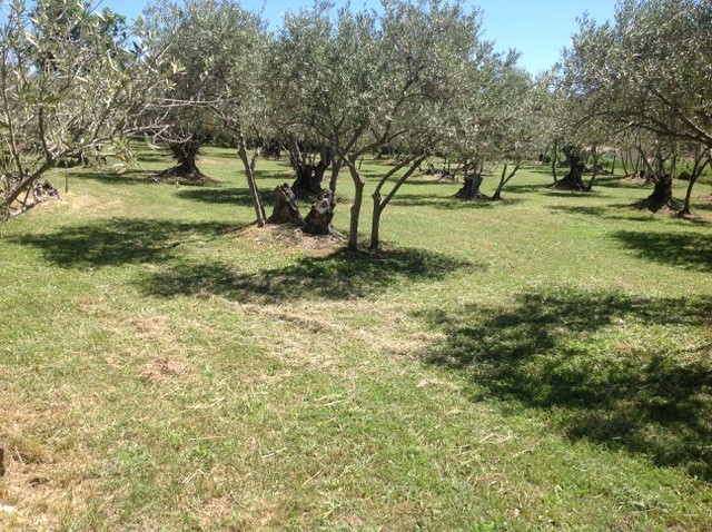 Vente Maison à Manosque 10 pièces