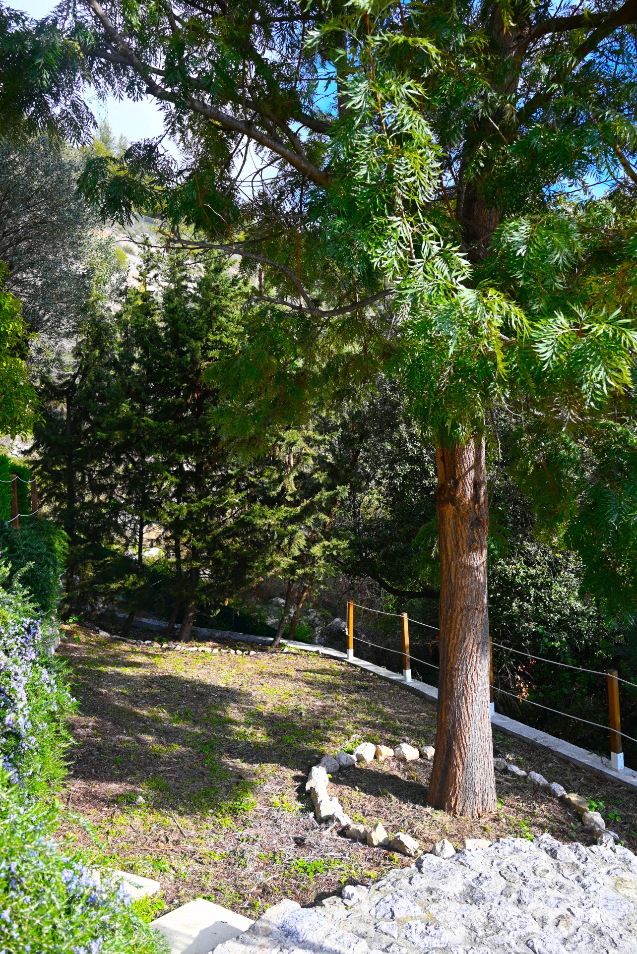 Vente Maison à Roquebrune-Cap-Martin 5 pièces