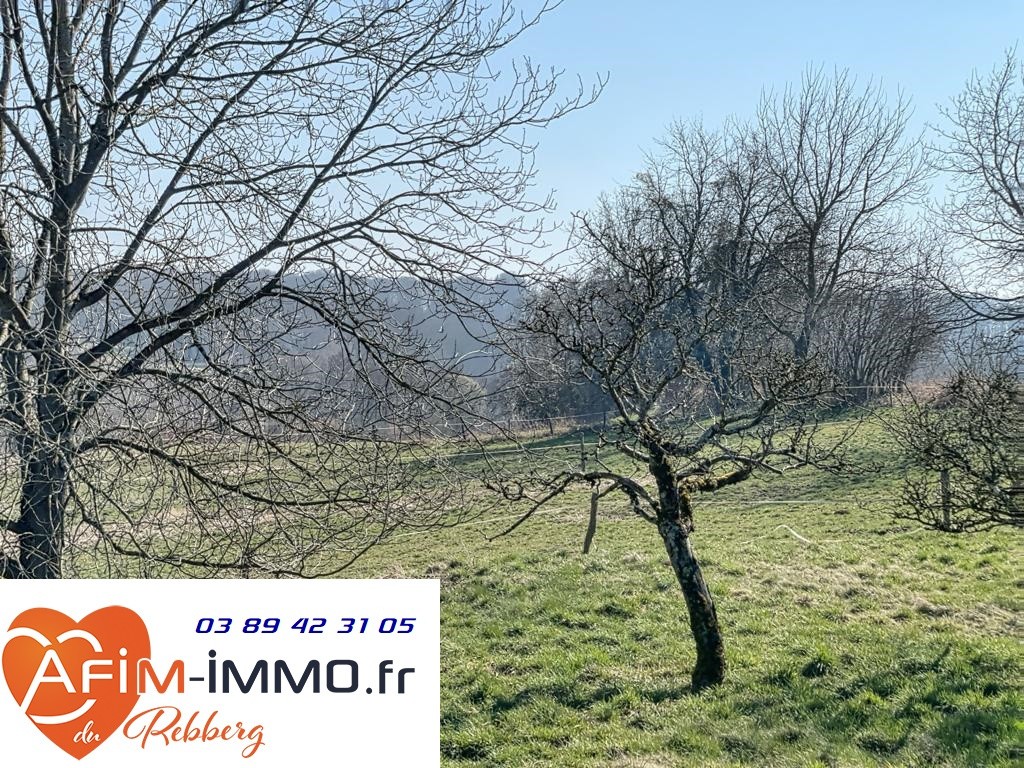 Vente Maison à Mulhouse 7 pièces