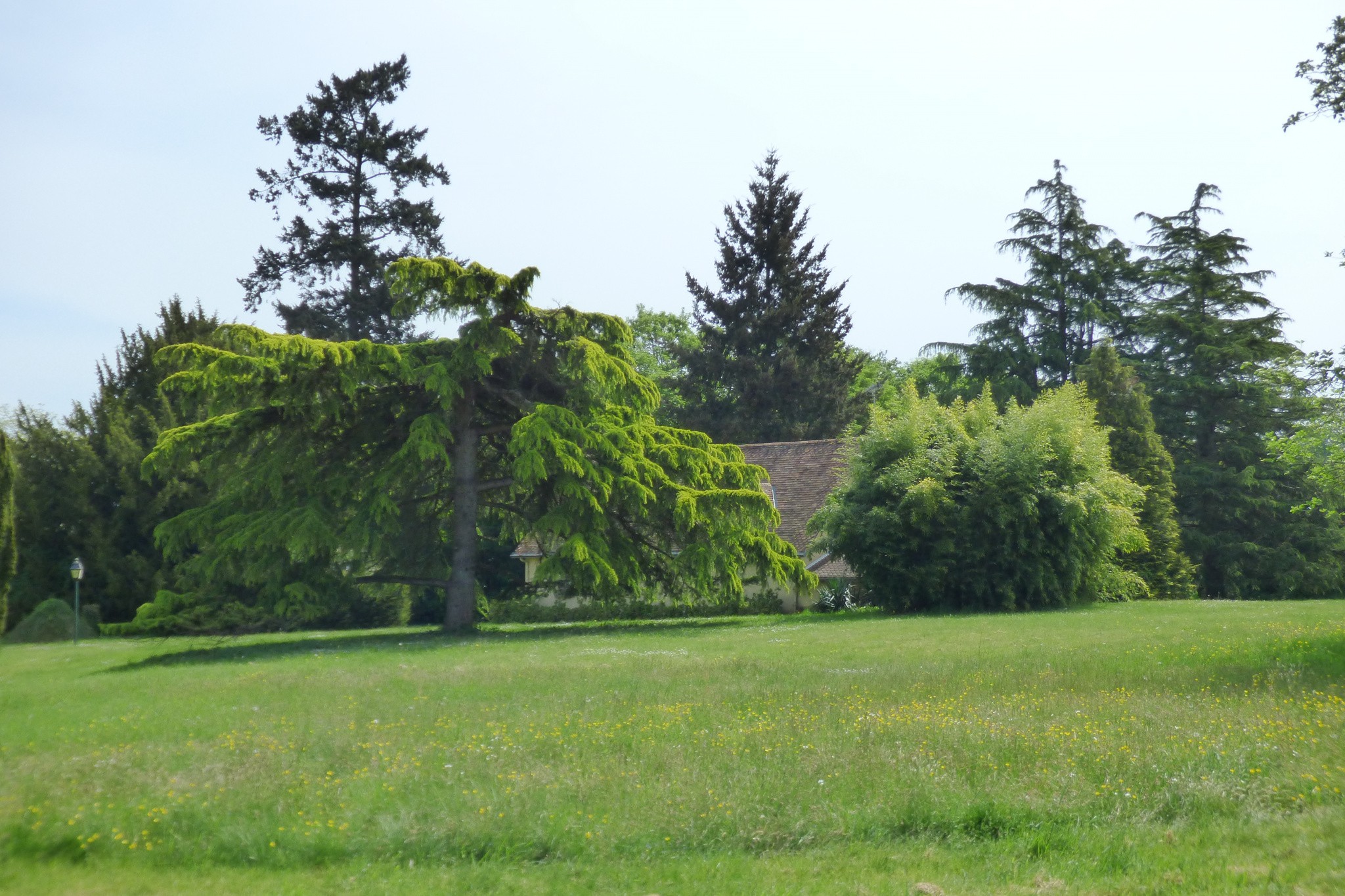 Vente Maison à Sablé-sur-Sarthe 11 pièces