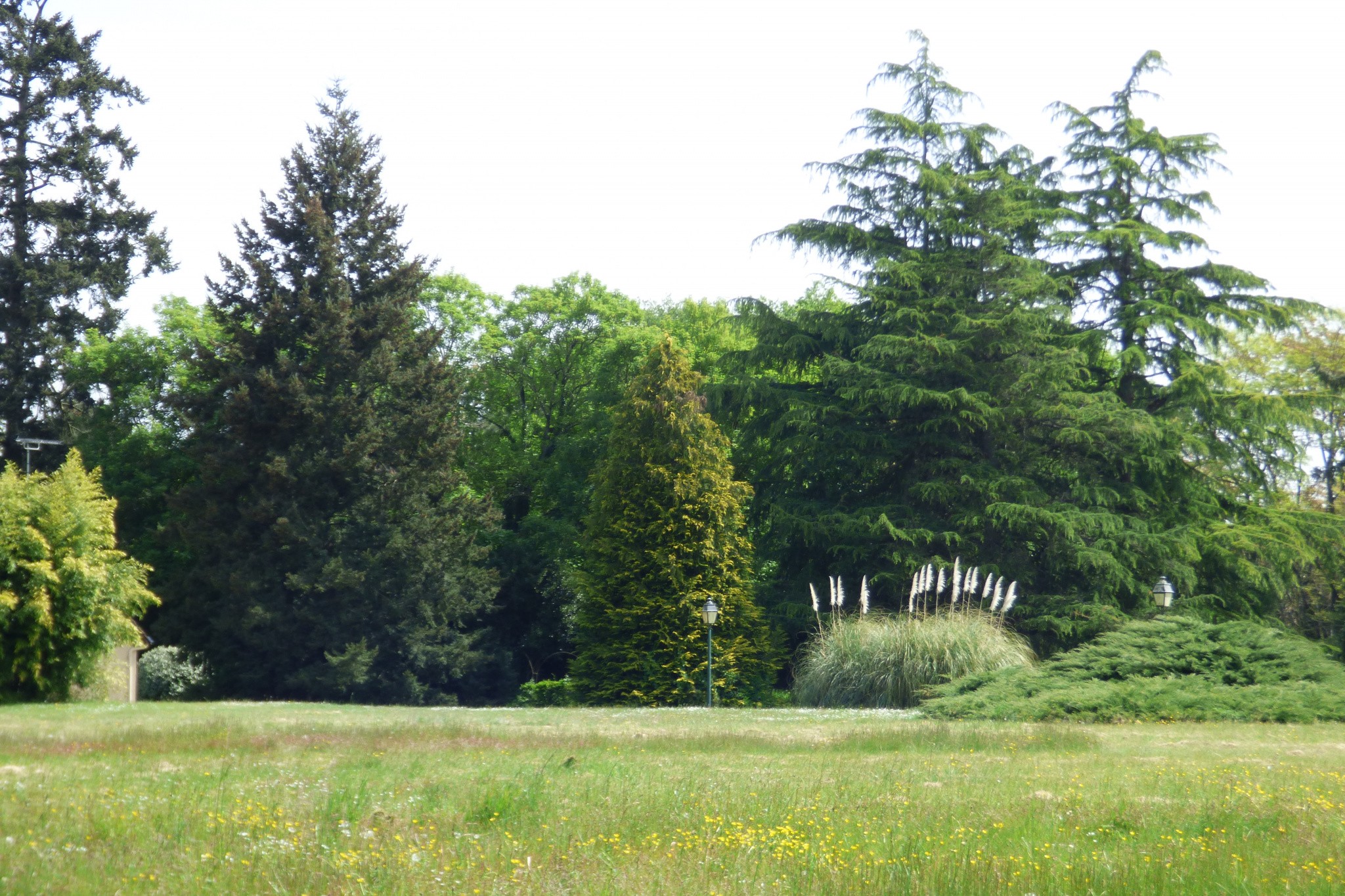 Vente Maison à Sablé-sur-Sarthe 11 pièces