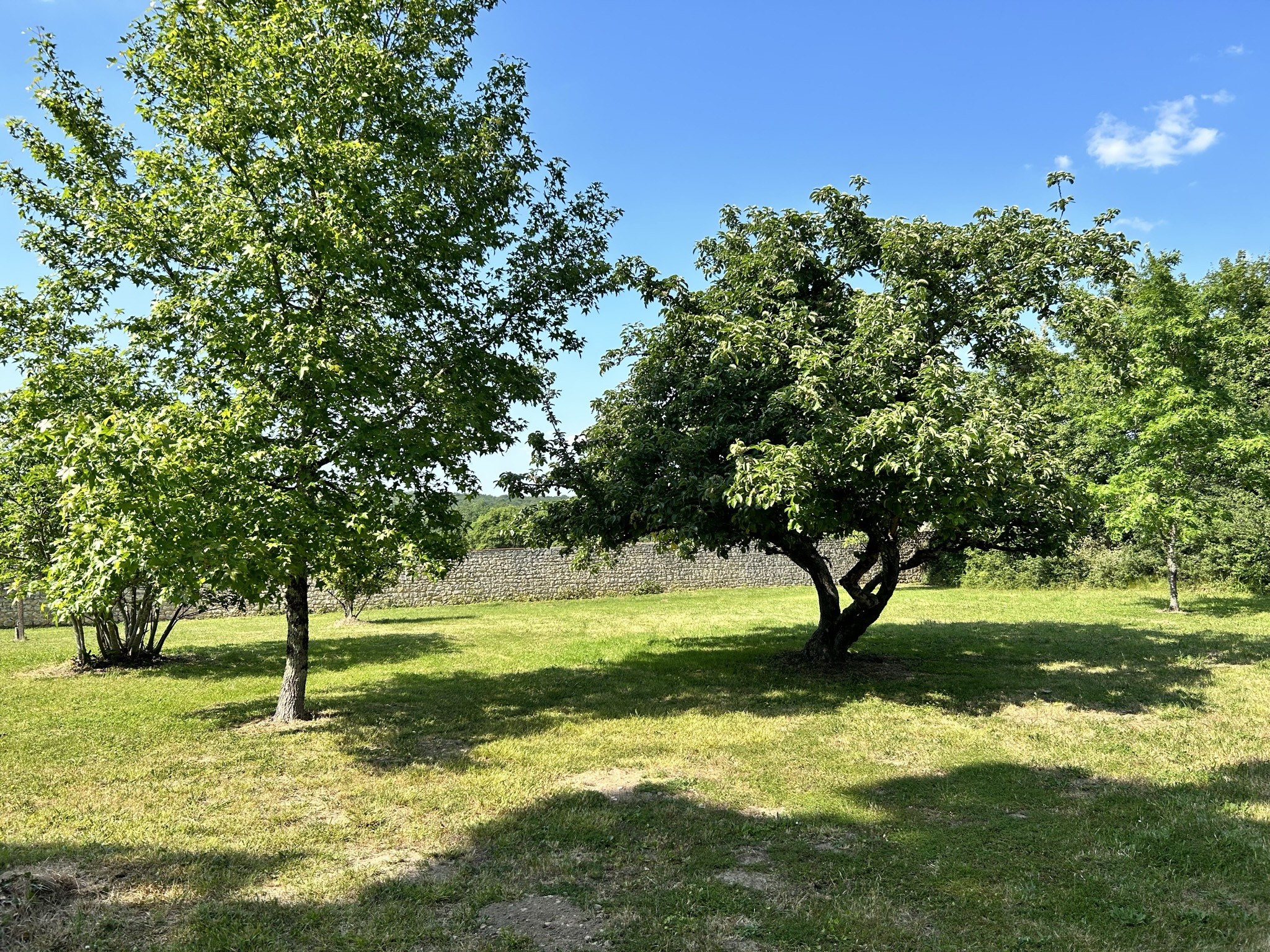 Vente Maison à le Pont-Chrétien-Chabenet 11 pièces