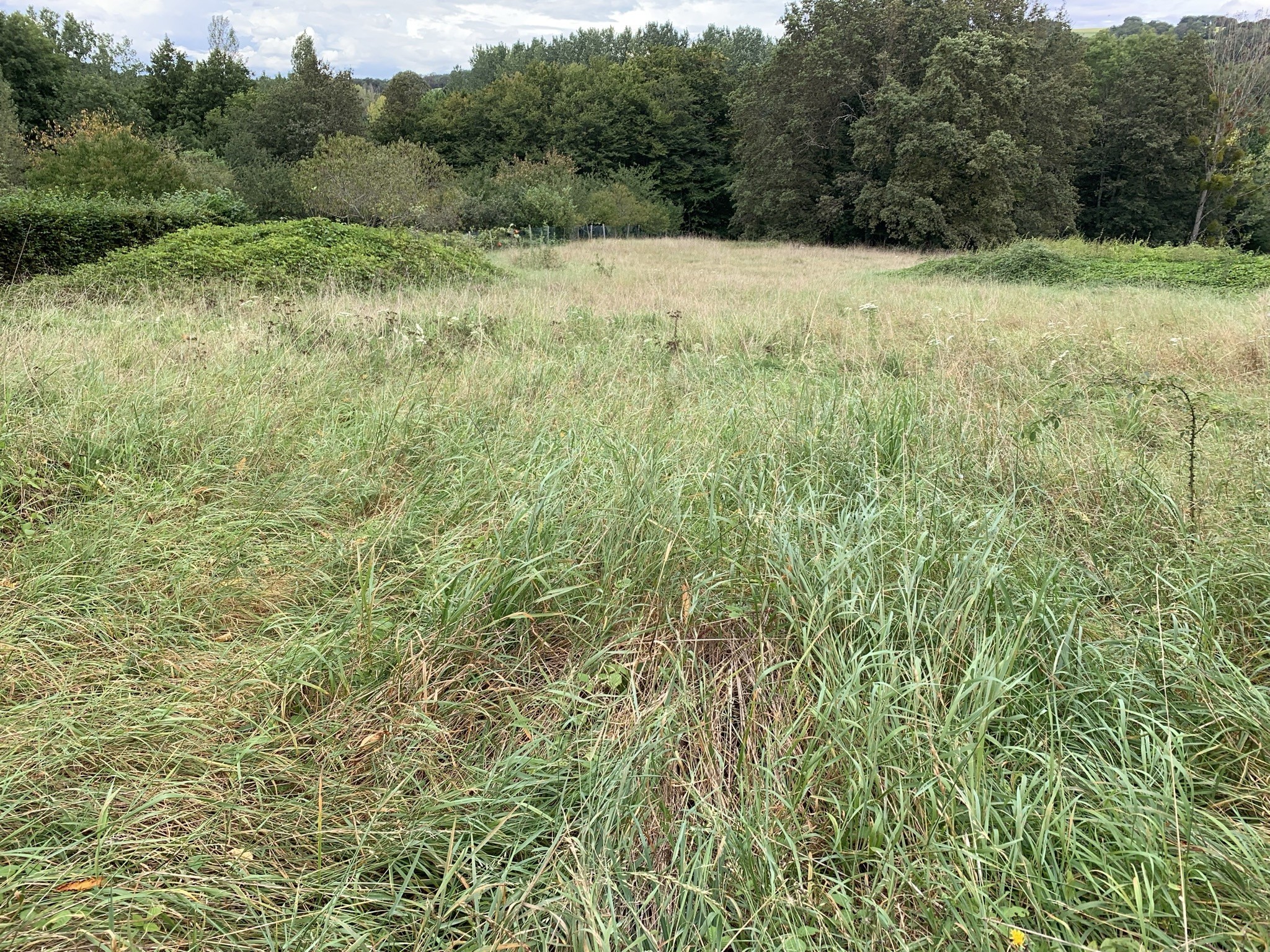 Vente Terrain à Ceaulmont 0 pièce