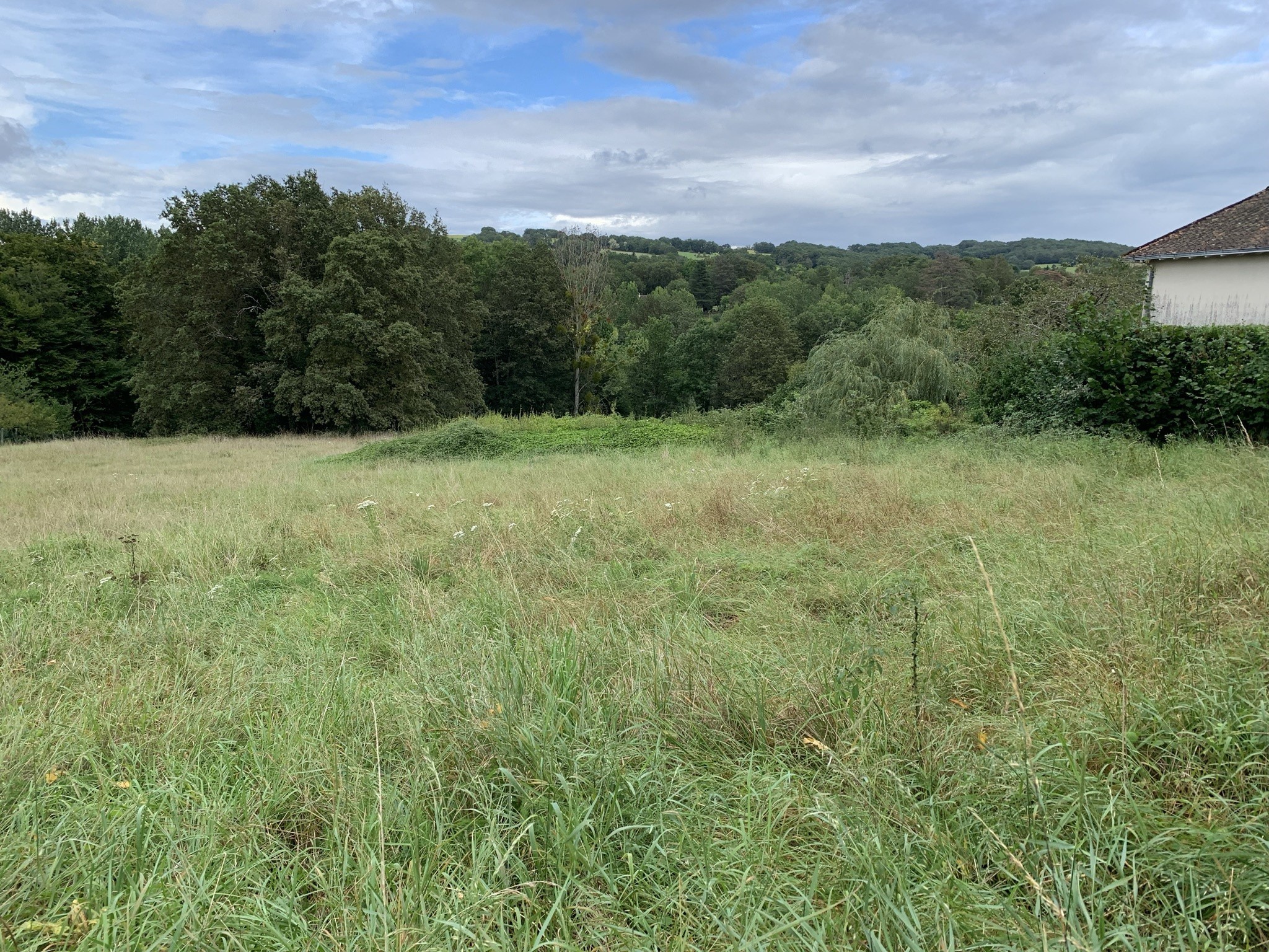 Vente Terrain à Ceaulmont 0 pièce