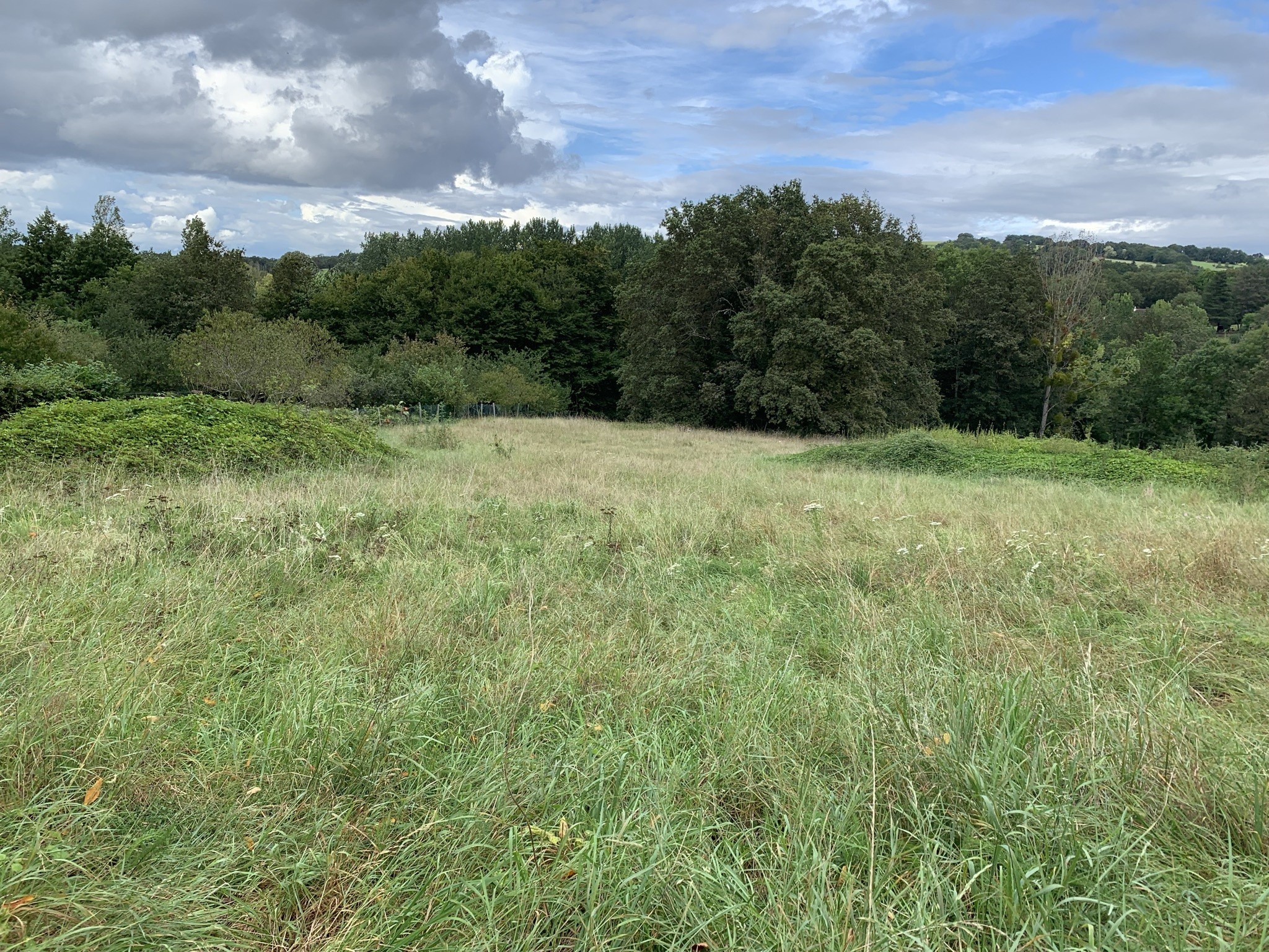 Vente Terrain à Ceaulmont 0 pièce