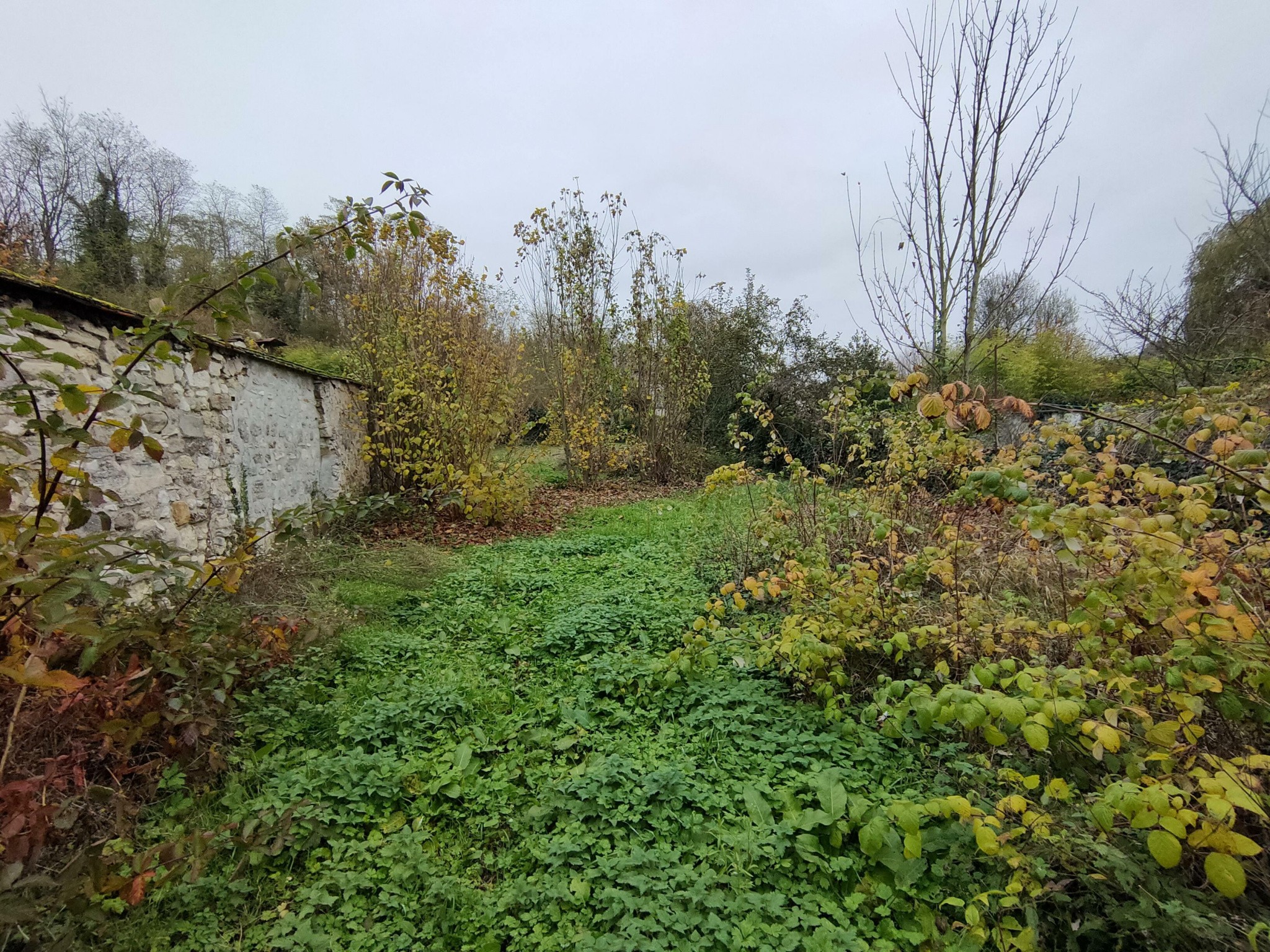 Vente Terrain à Neuilly-Saint-Front 0 pièce