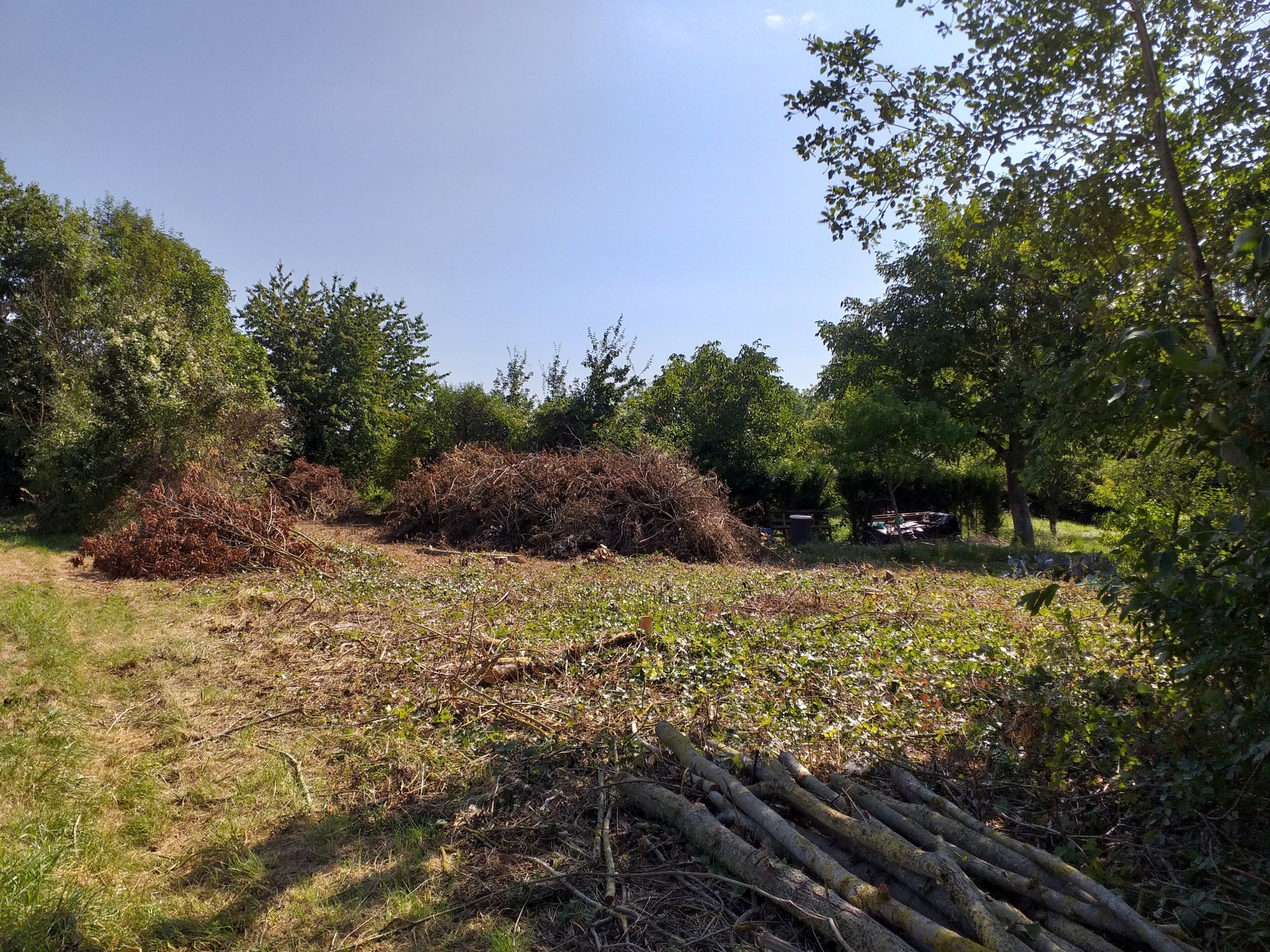 Vente Terrain à Villers-Cotterêts 0 pièce