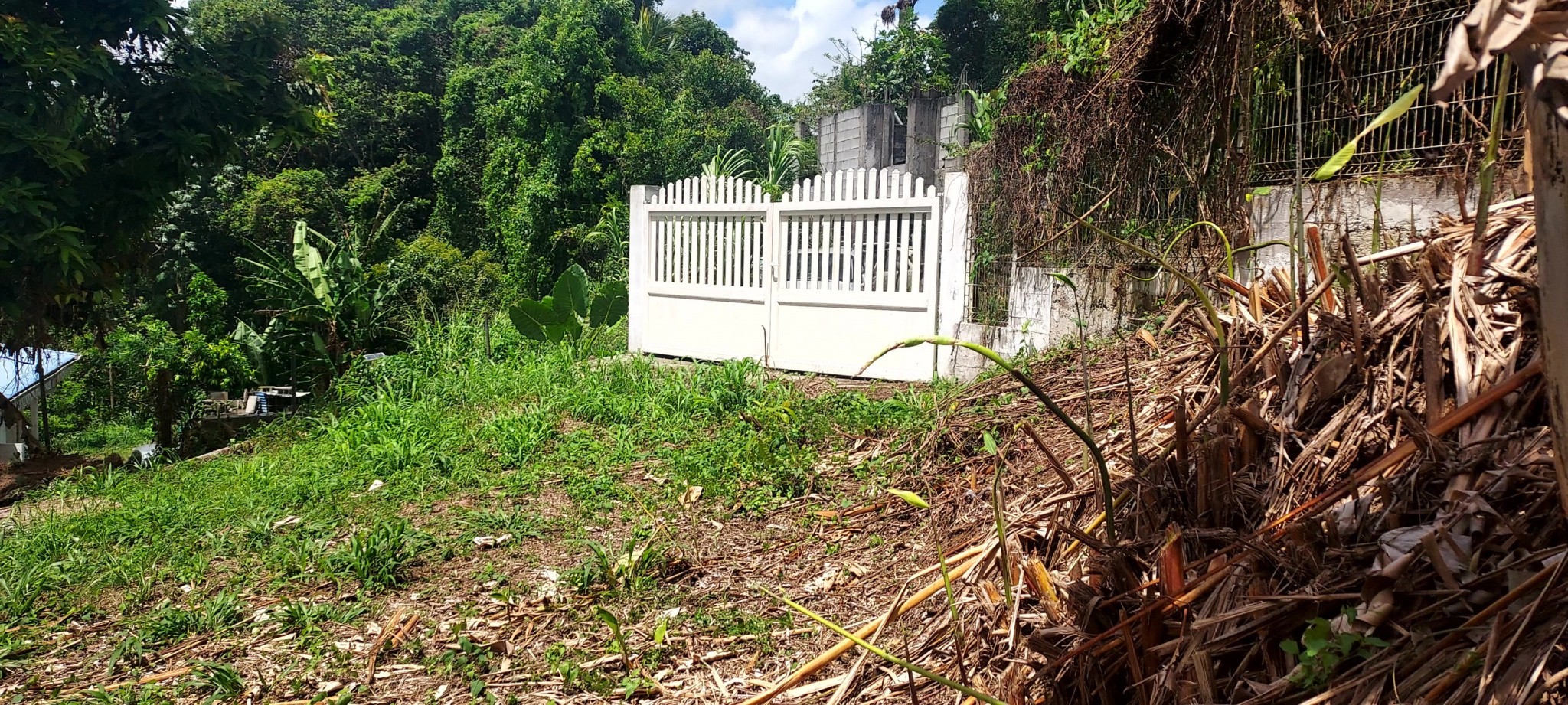 Vente Maison à Gros-Morne 5 pièces