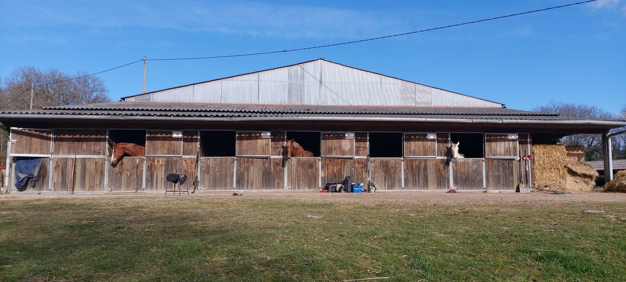 Vente Maison à Razès 25 pièces