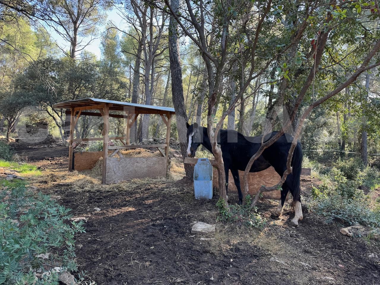 Vente Maison à le Beausset 5 pièces