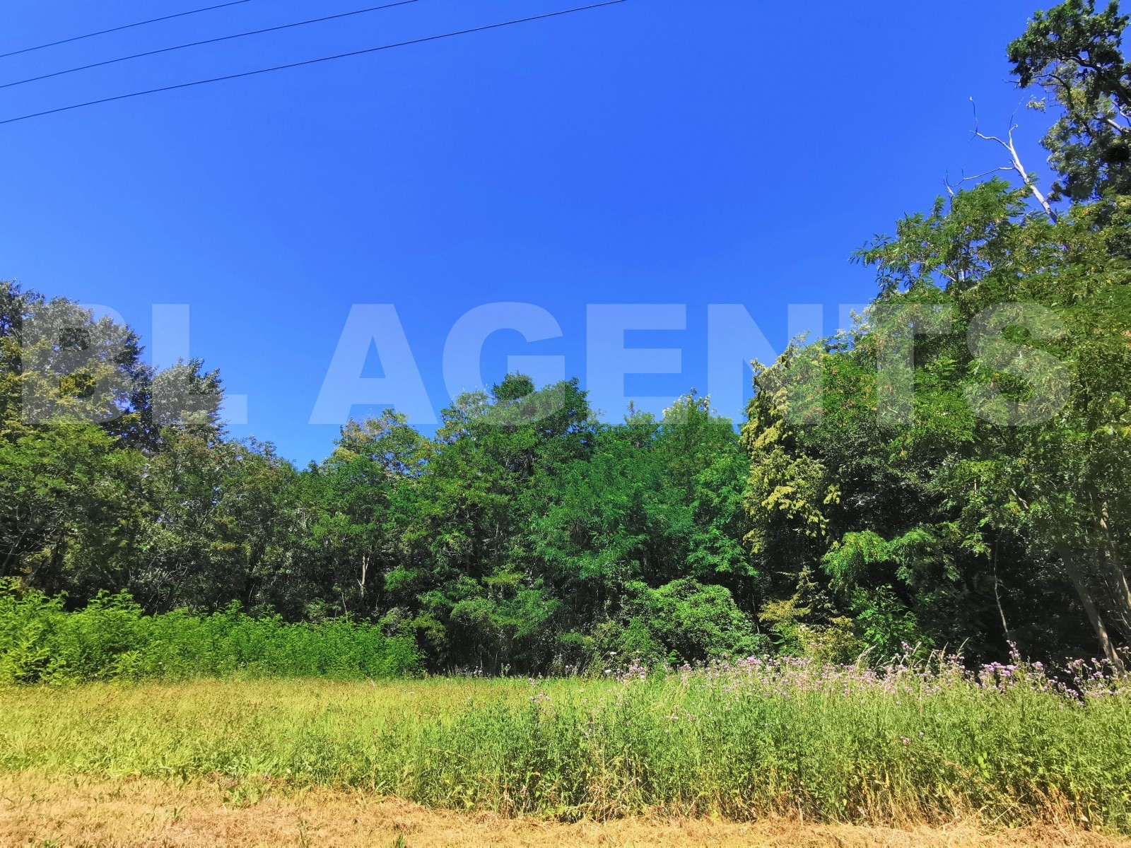 Vente Terrain à Coulommiers 0 pièce