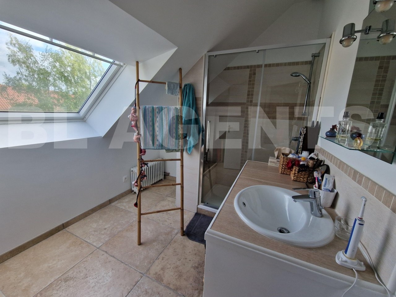 Vente Maison à Bray-sur-Seine 12 pièces