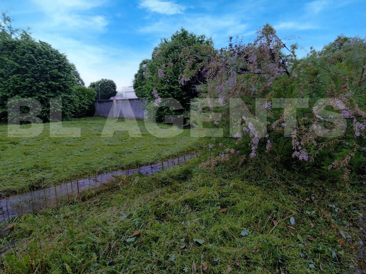 Vente Maison à Bray-sur-Seine 8 pièces