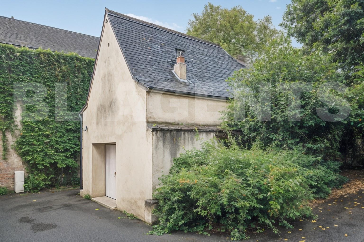 Vente Garage / Parking à Azay-le-Rideau 0 pièce