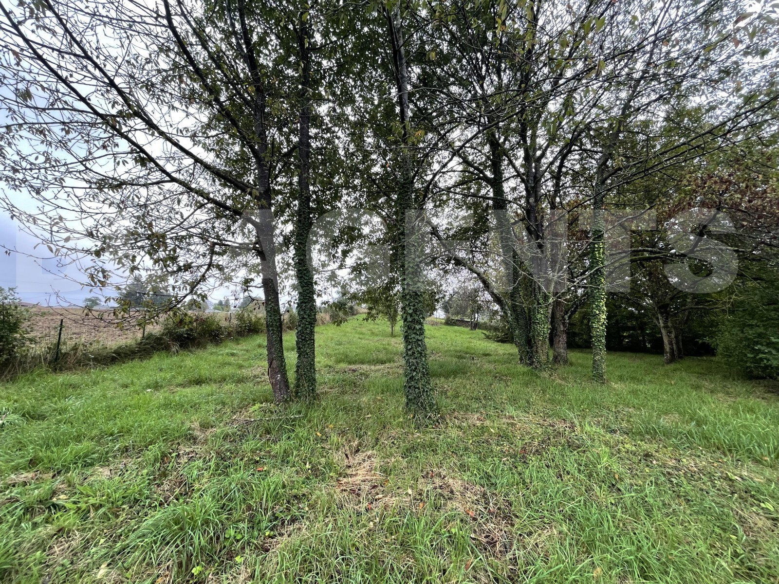 Vente Terrain à Château-Thierry 0 pièce