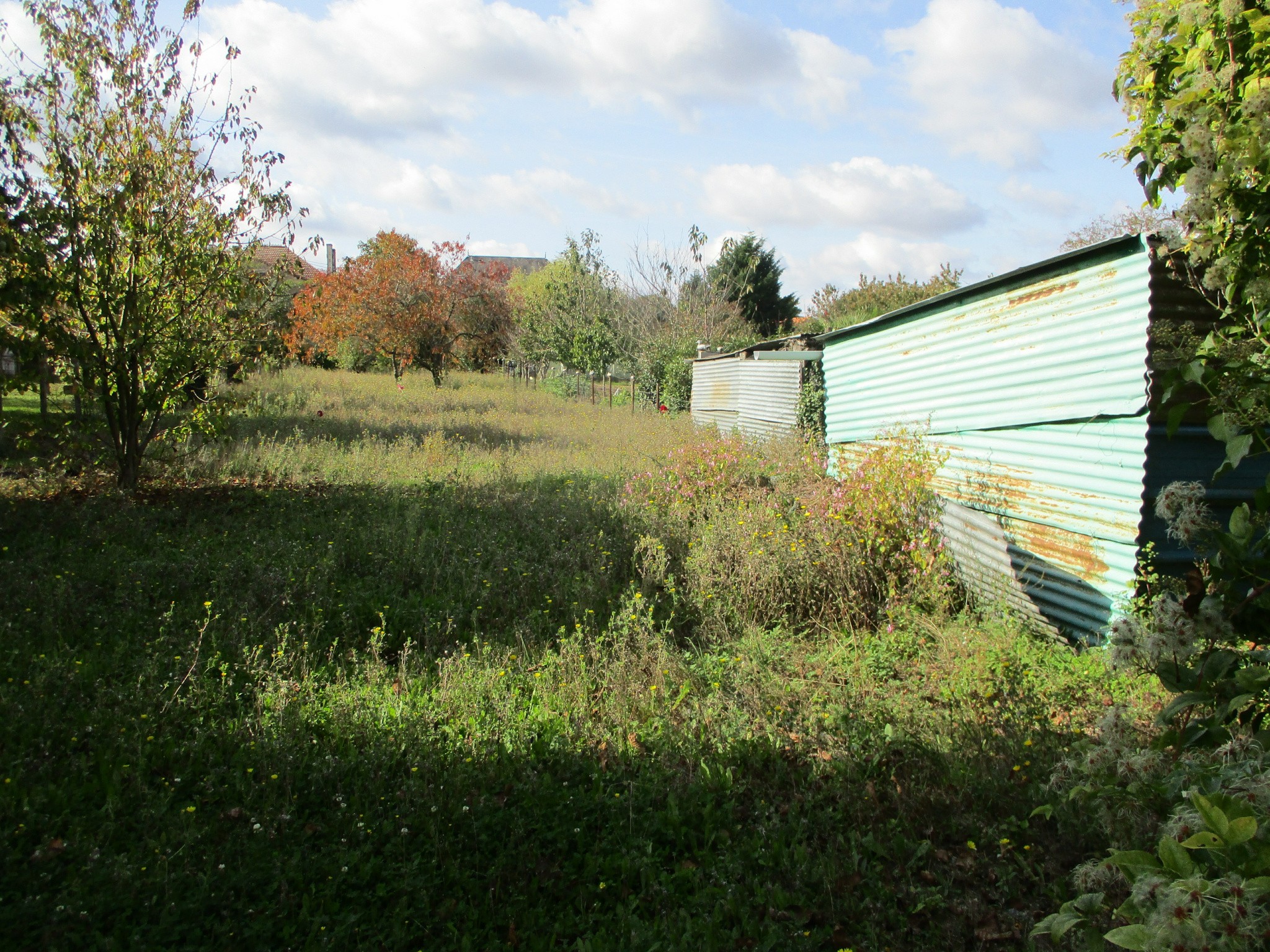 Vente Terrain à Couhé 0 pièce