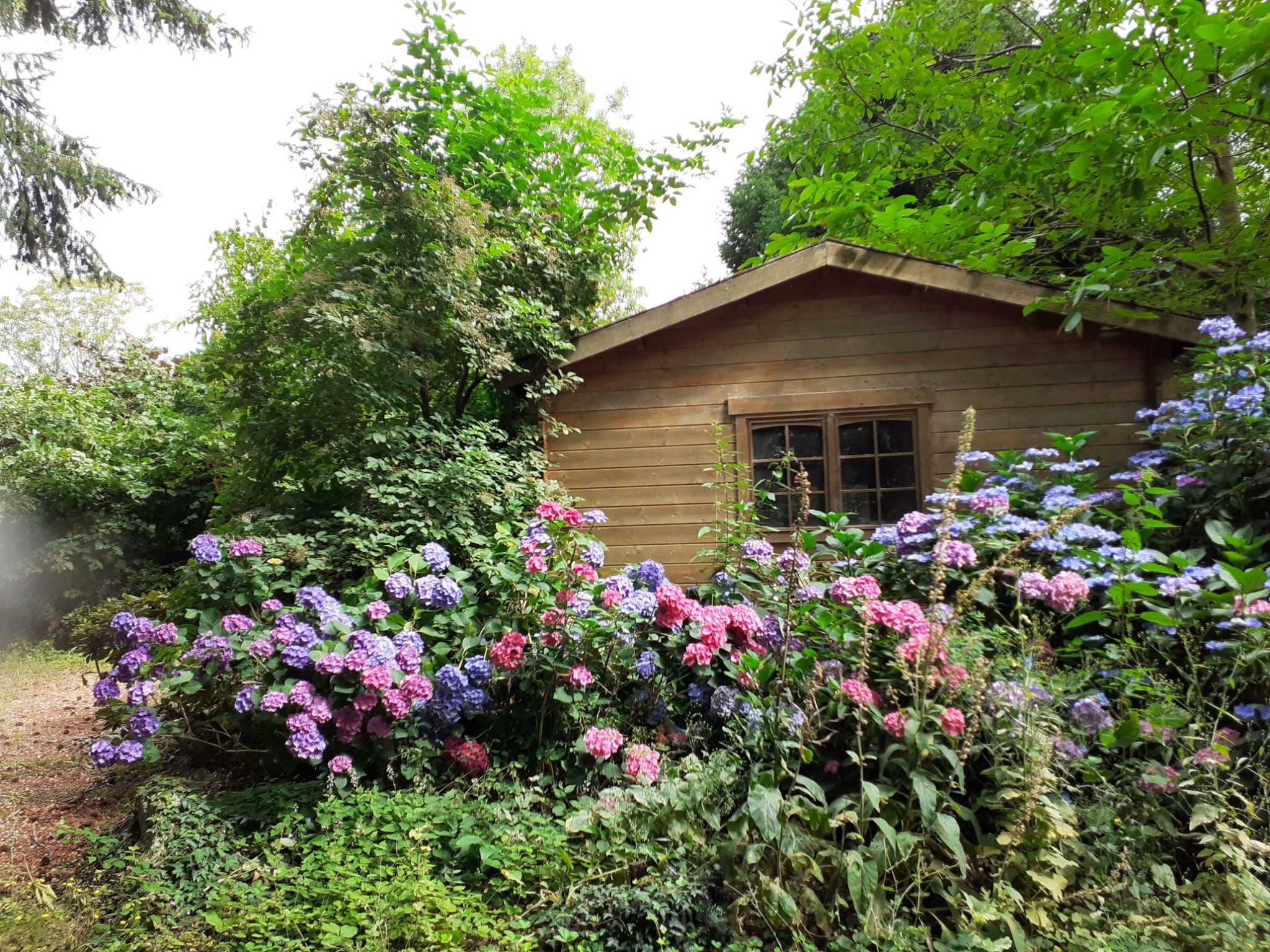 Vente Maison à Marly-sur-Arroux 11 pièces