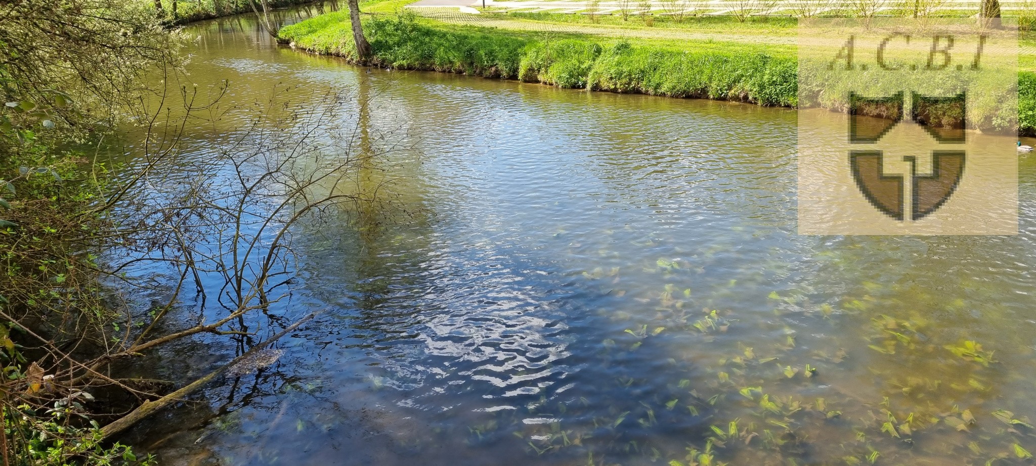 Vente Terrain à Vendôme 0 pièce