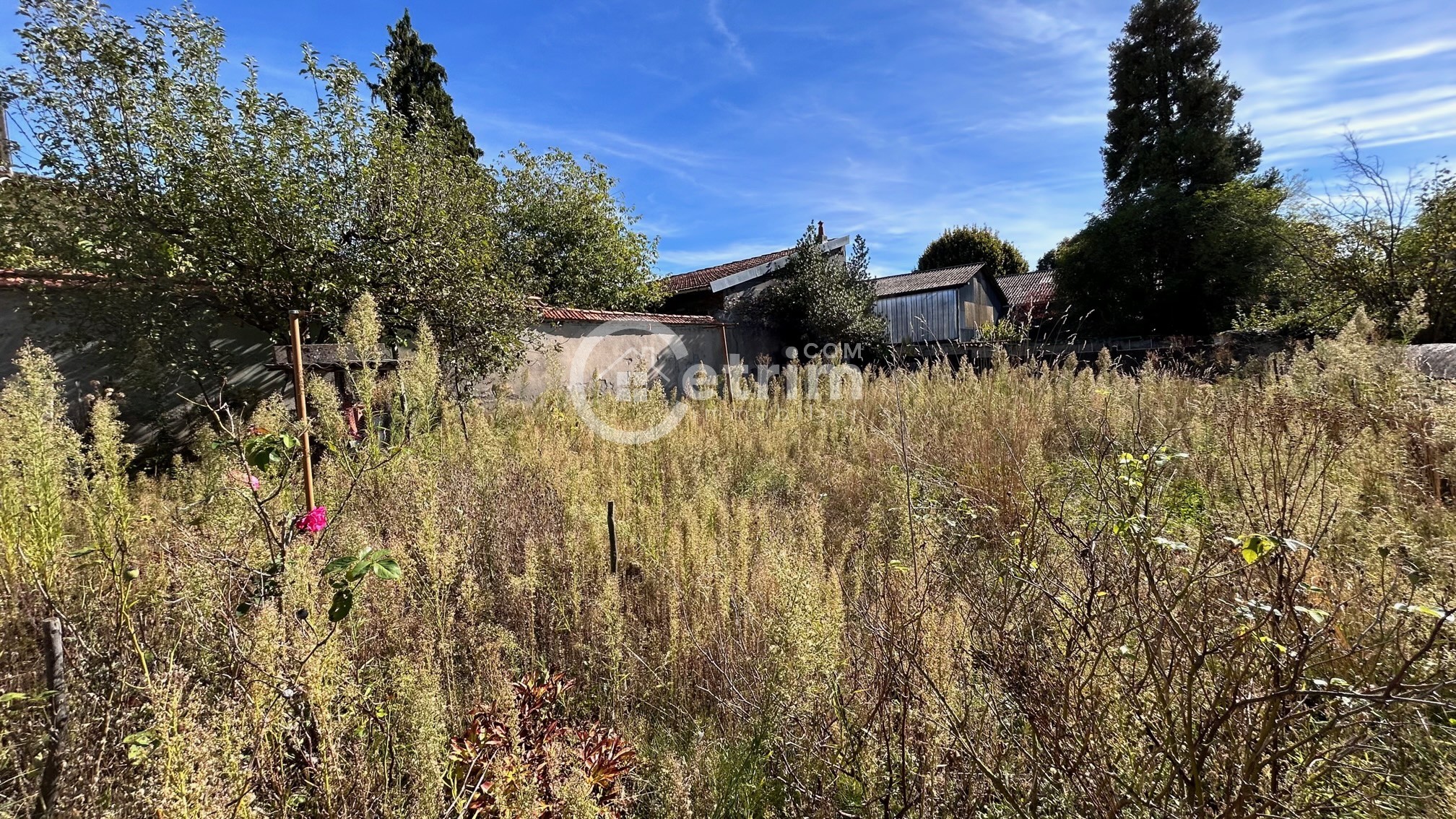 Vente Terrain à Lezoux 0 pièce