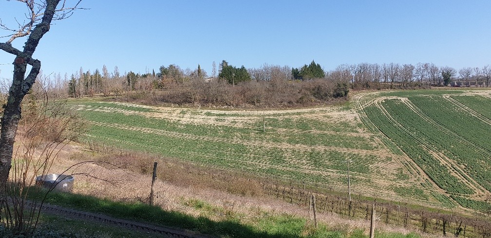 Vente Maison à Lauzerte 7 pièces