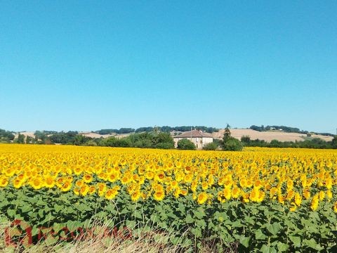 Vente Terrain à Puycasquier 0 pièce