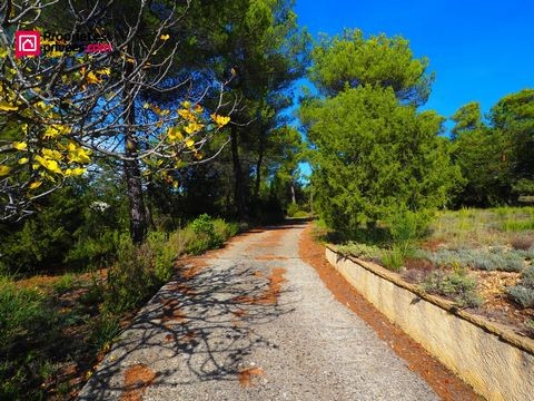 Vente Maison à Gréoux-les-Bains 4 pièces